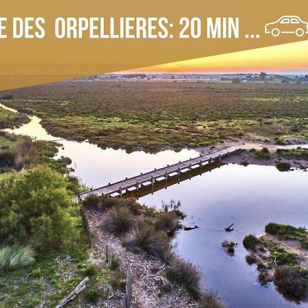 Centre Historique - Free Parking - Self Checkin - Wifi - Industriel - Sleepntripbeziers 아파트 외부 사진